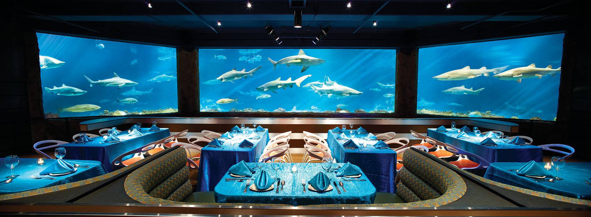 Sharks Underwater Grill and Bar