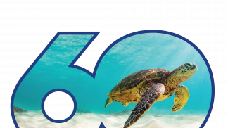 SeaWorld celebra 60 años
